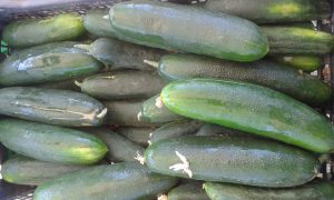 20160702_100021